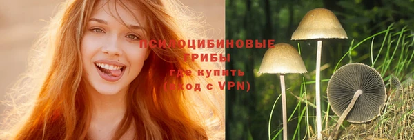 стафф Краснотурьинск