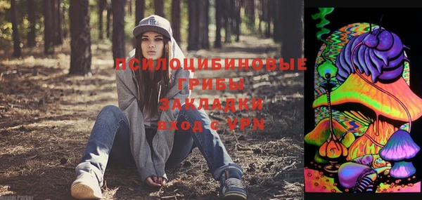 хмурый Краснослободск