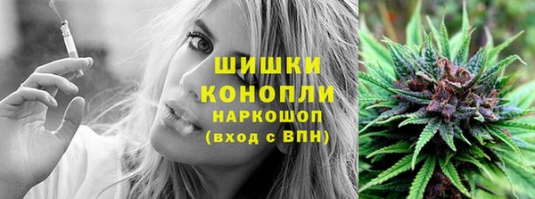 spice Кулебаки