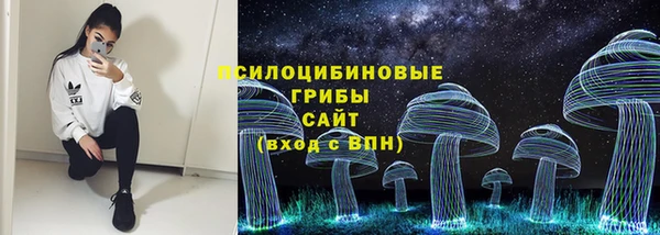 хмурый Краснослободск