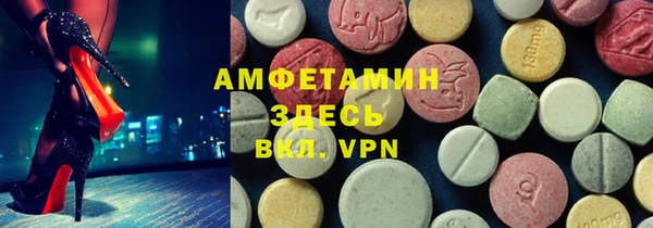 сатива Корсаков