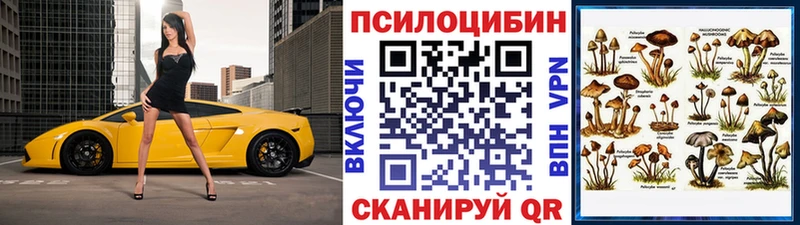 Галлюциногенные грибы Psilocybine cubensis  blacksprut как войти  Курлово  сколько стоит 